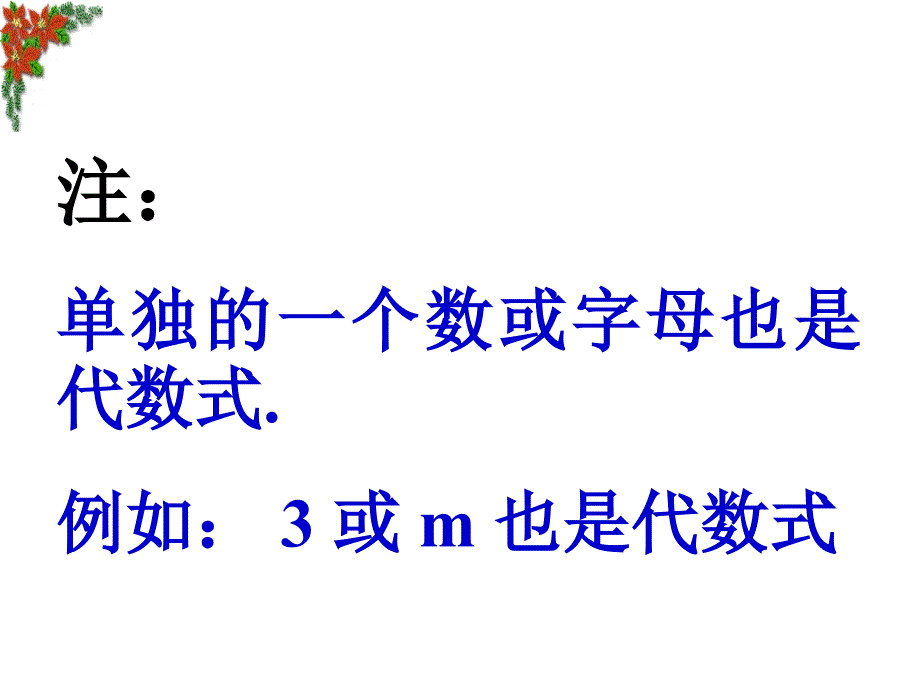 沪科版代数式课件_第3页