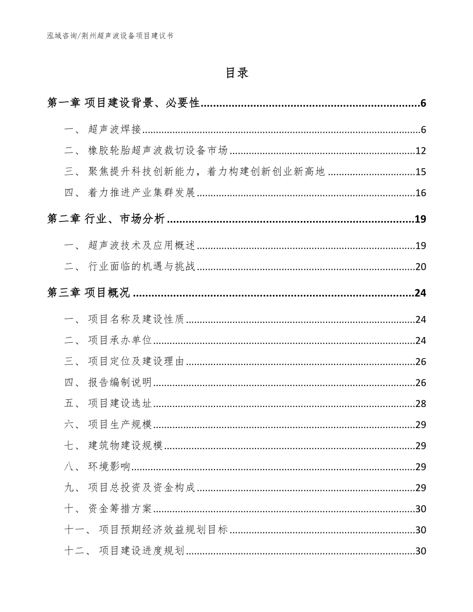 荆州超声波设备项目建议书【模板参考】_第1页