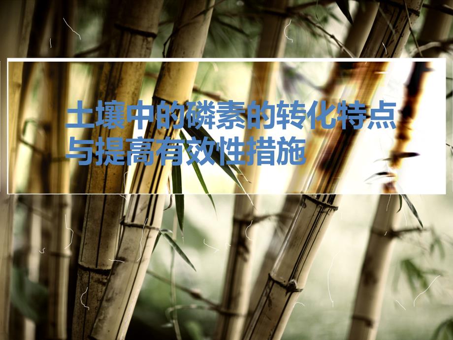 土壤中的磷素的转化特点与提高有效性措施_第1页