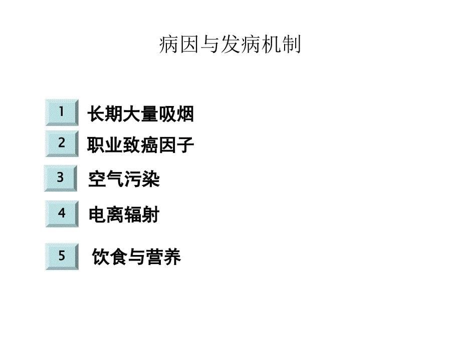 肺癌化疗病人护理查房PPT课件02_第5页