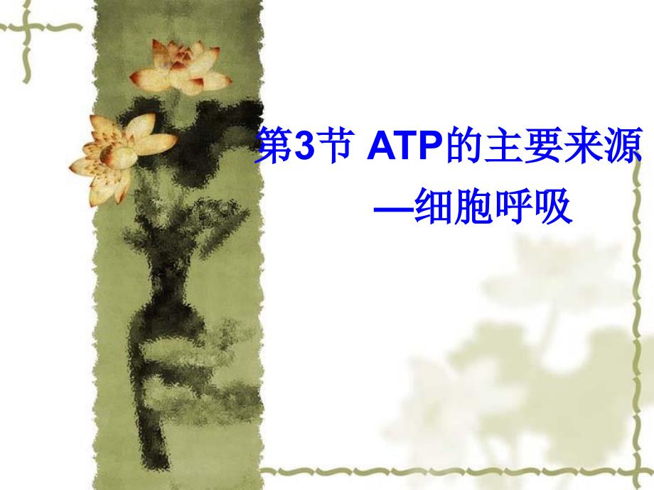 atp的主要来源细胞呼吸_第1页