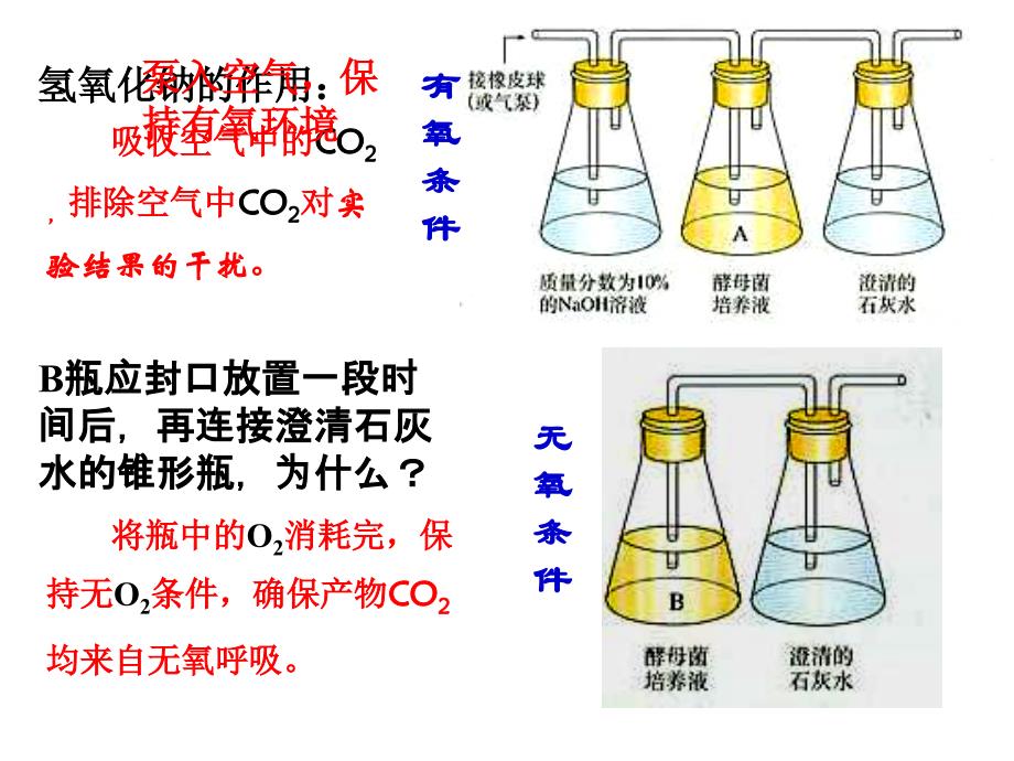 atp的主要来源细胞呼吸_第4页