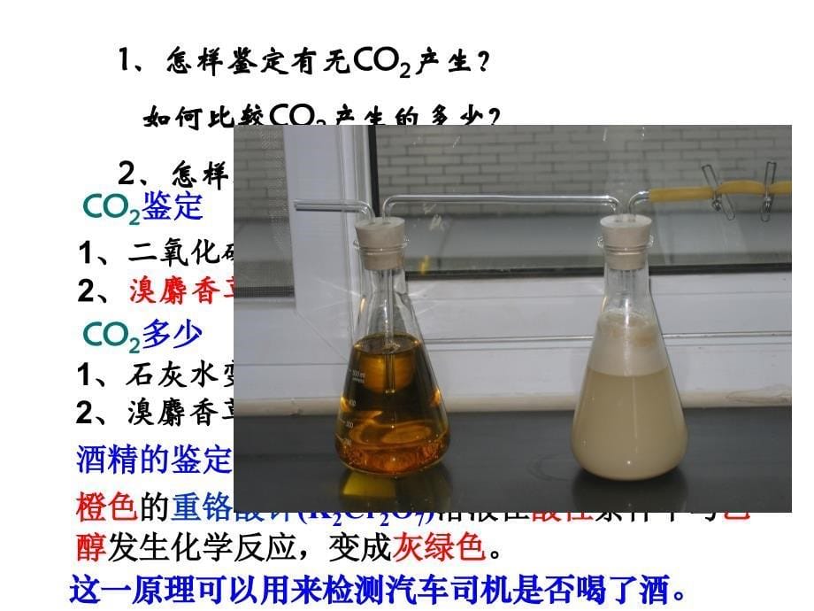 atp的主要来源细胞呼吸_第5页