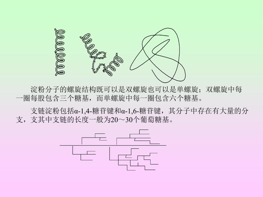 淀粉淀粉颗粒及分子结构一淀粉颗粒在植物的_第2页