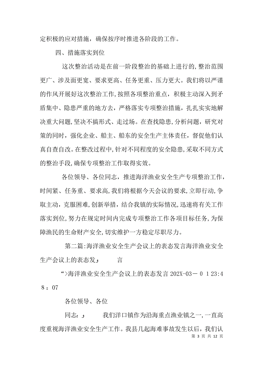 海洋渔业安全生产专项整治工作会议表态发言_第3页