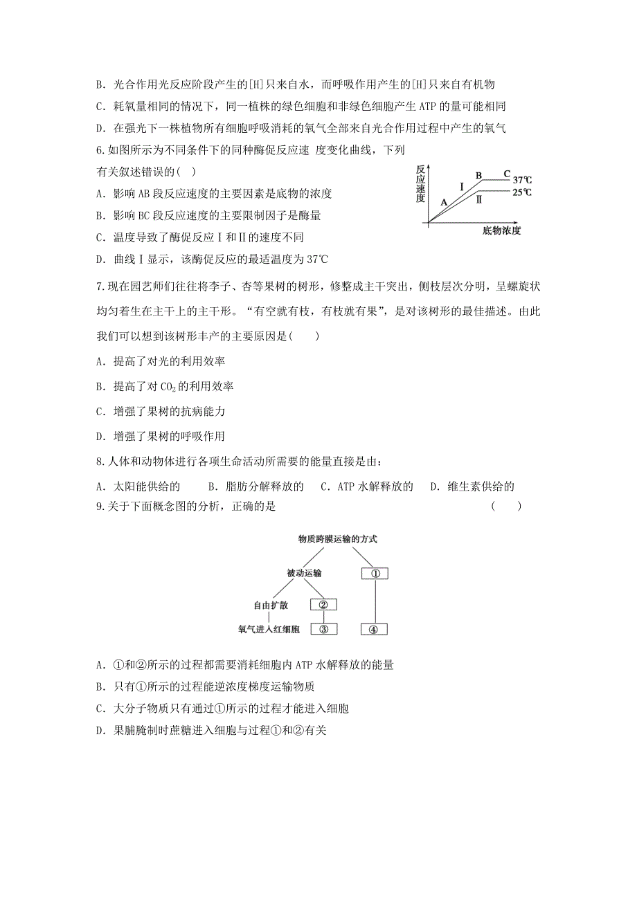 2012届高三生物二轮复习专题练习5：细胞的代谢_第2页