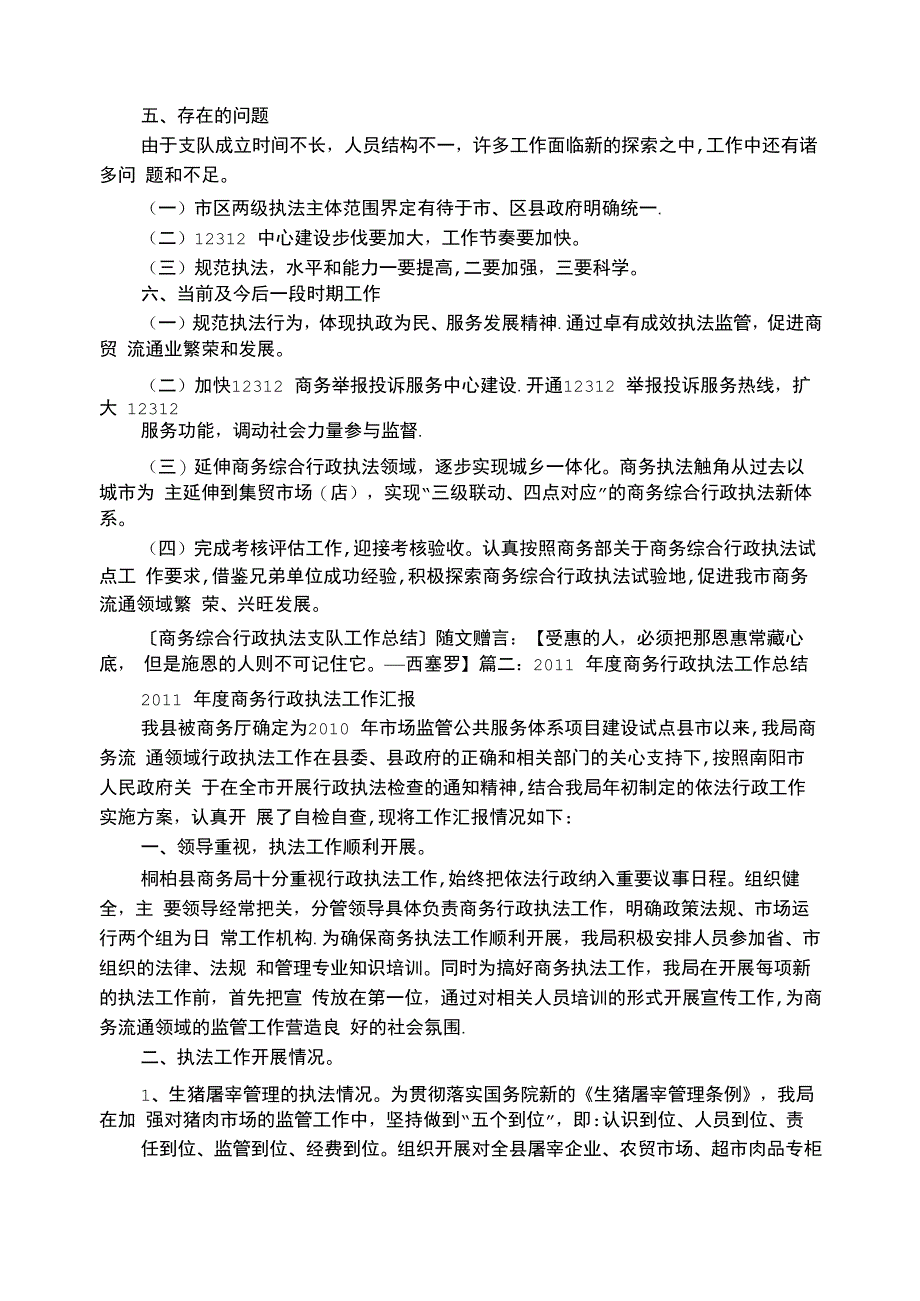 商务综合行政执法工作总结_第3页