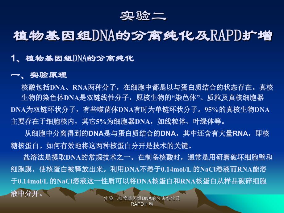 实验二植物基因组DNA的分离纯化及RAPD扩增课件_第1页