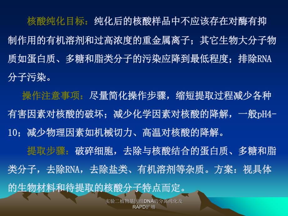 实验二植物基因组DNA的分离纯化及RAPD扩增课件_第3页