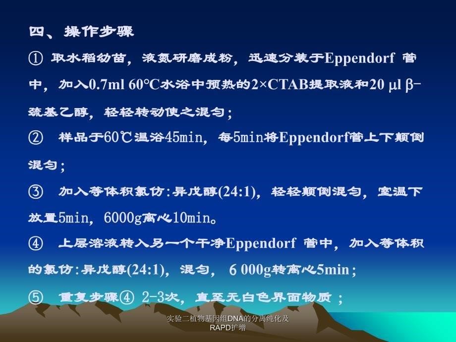 实验二植物基因组DNA的分离纯化及RAPD扩增课件_第5页