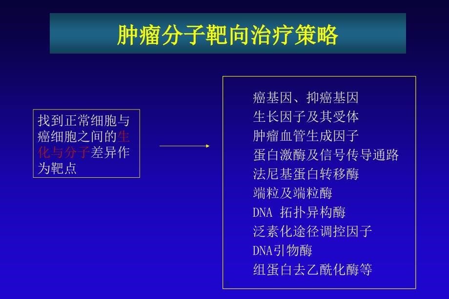 标志物引领下的恶性肿瘤靶向治疗_第5页