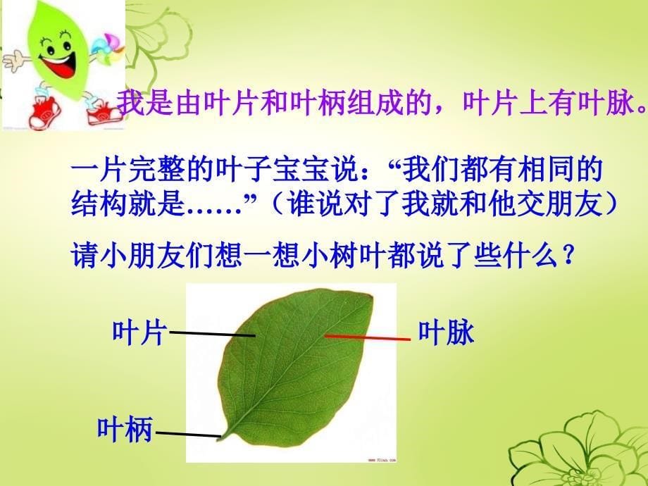 教科版科学三上植物的叶_优秀课件_第5页