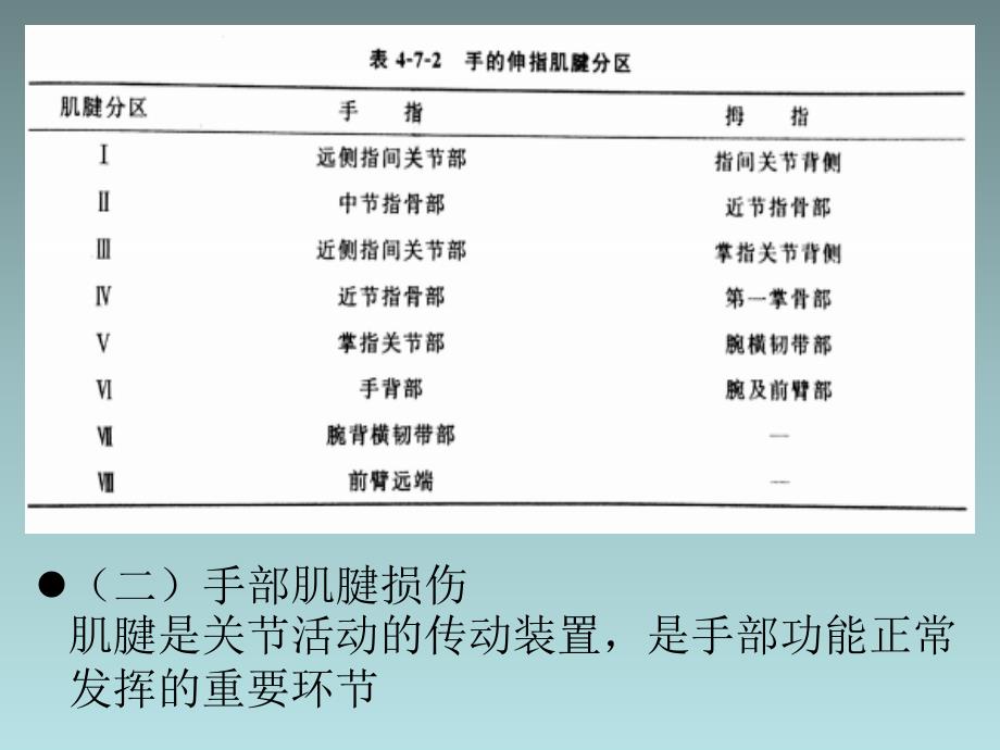 手外伤的康复12_第4页