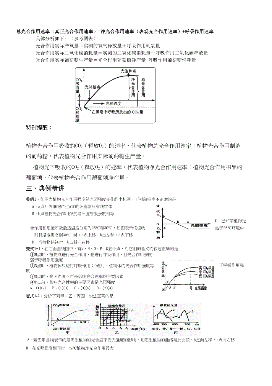 高考生物光合作用和呼吸作用专题复习讲义_第4页