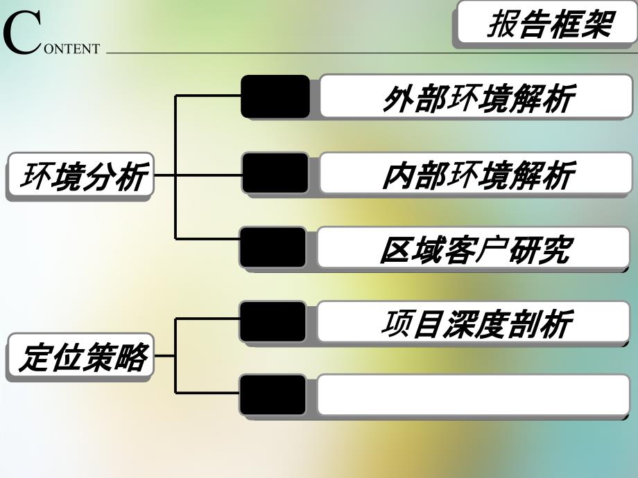 深圳冠利达大厦前期项目策划报告_第2页