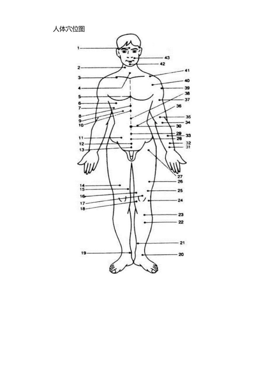 人体背部穴位图_中医疗法主病症和选穴_第5页