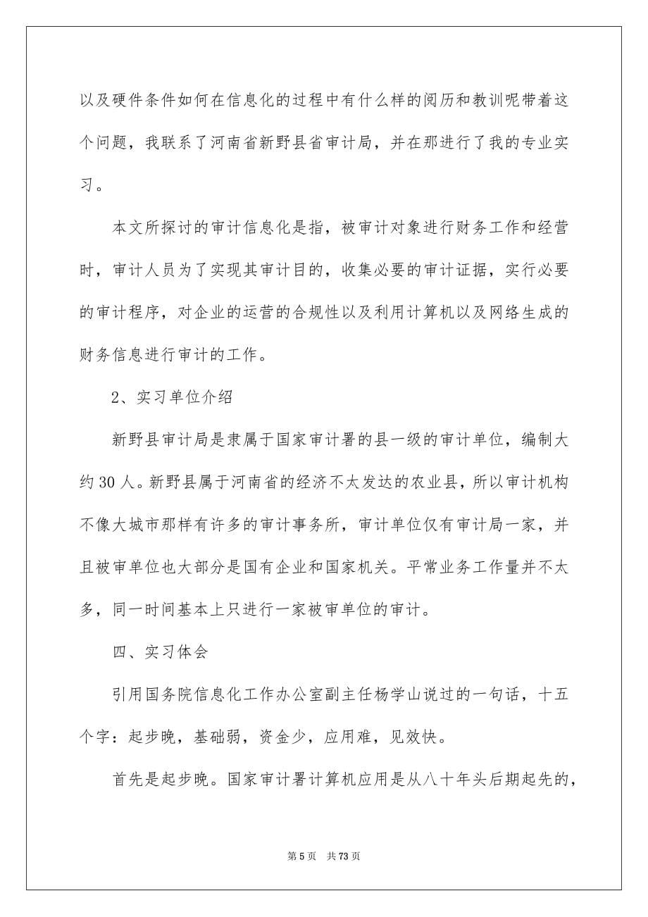 2022审计专业实习报告_20_第5页