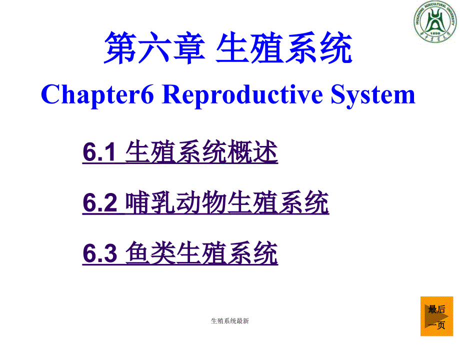 生殖系统最新课件_第1页