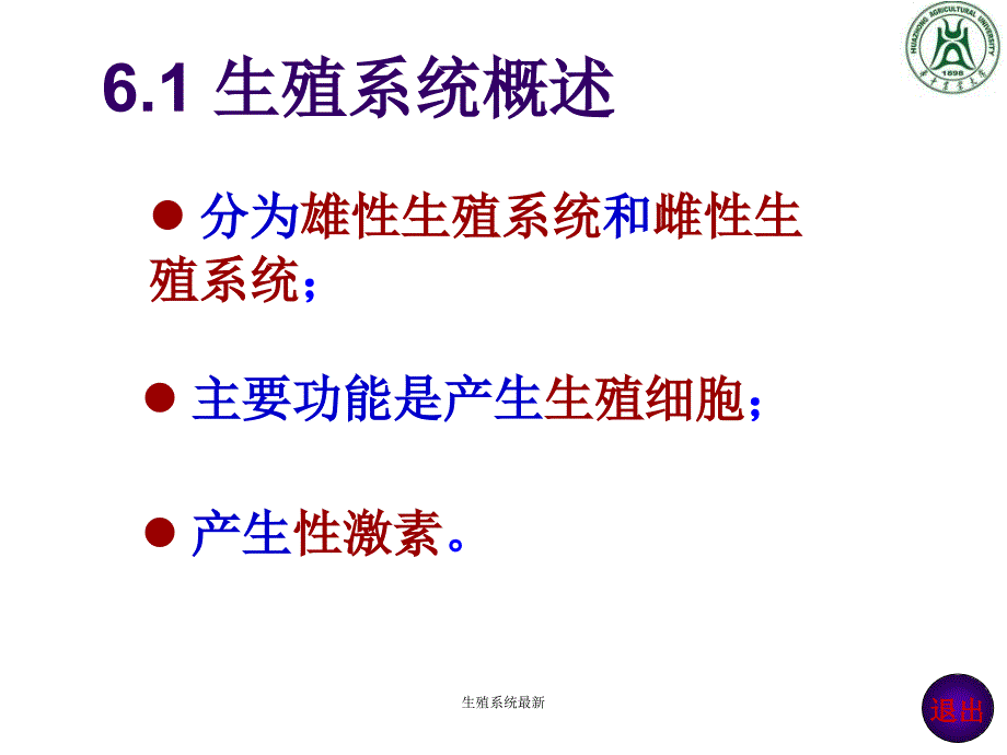 生殖系统最新课件_第2页