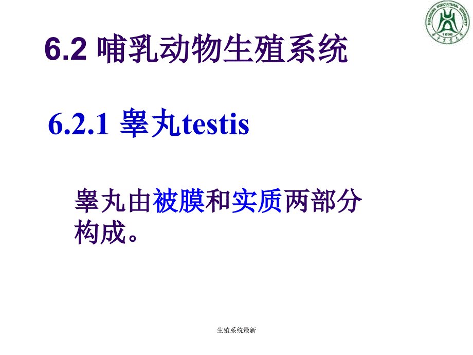 生殖系统最新课件_第3页