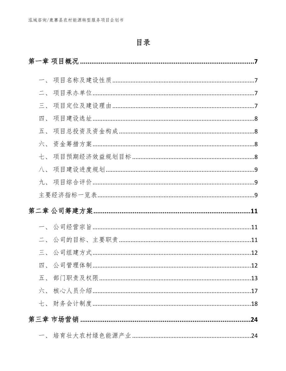 鹿寨县农村能源转型服务项目企划书模板_第2页