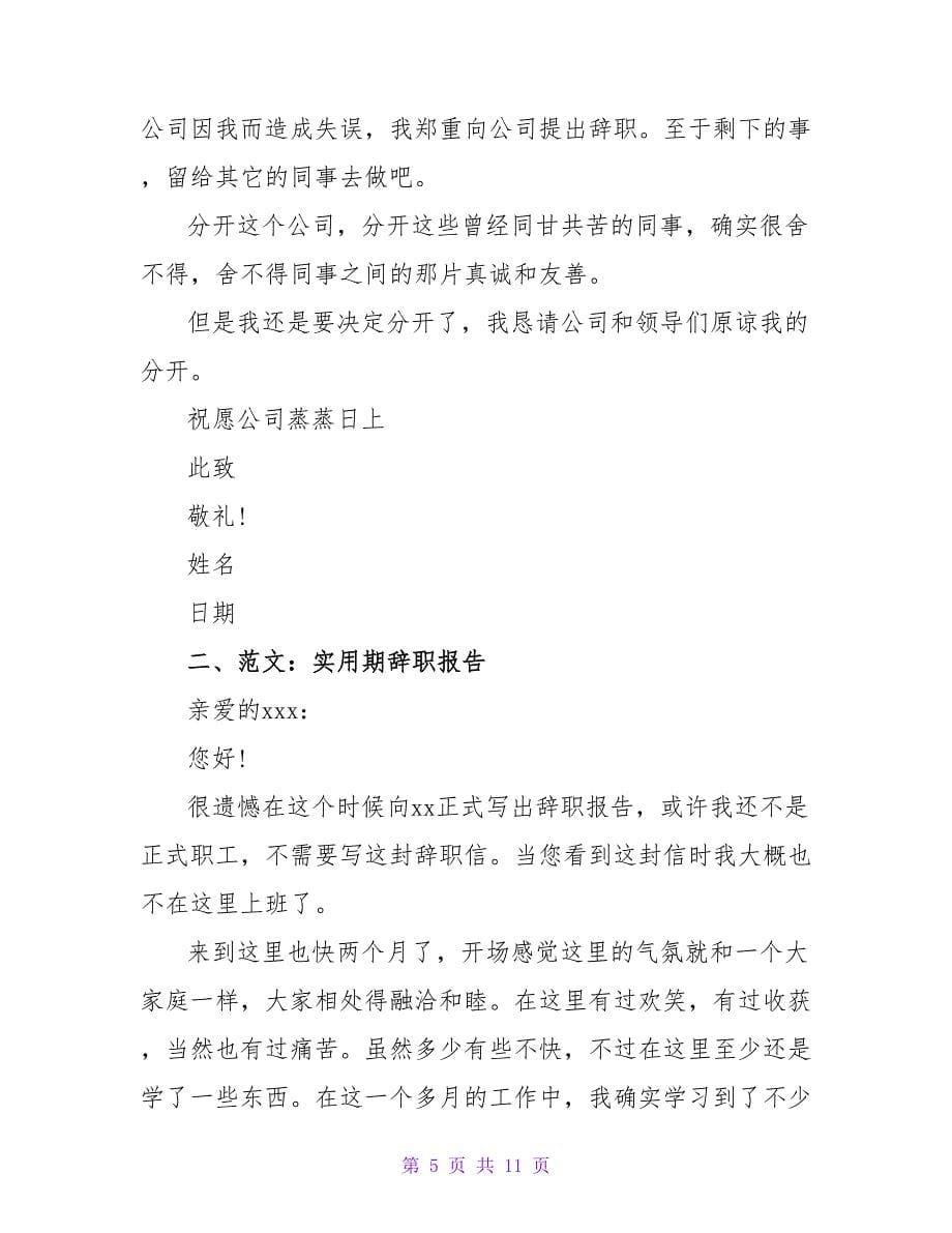 见习期辞职报告.doc_第5页