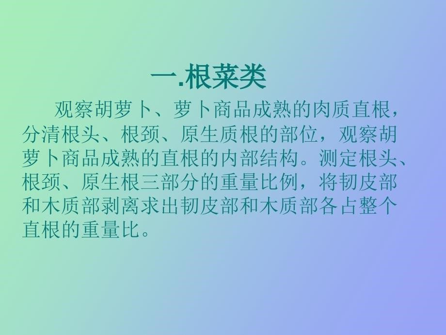 主要蔬菜产品器官的形态构造观察_第5页