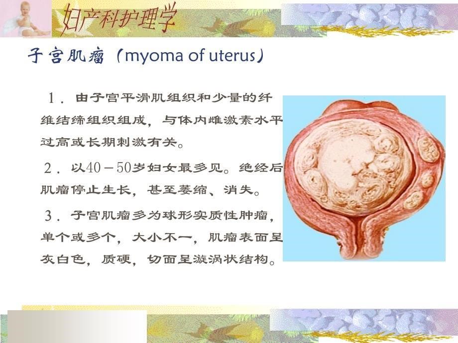 女性生殖系统肿瘤课件_第5页