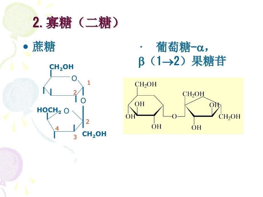 生物化学第四章糖代谢_第5页