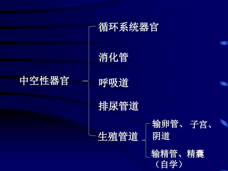 中空性器管ppt_第4页