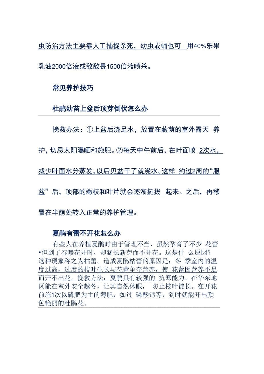 杜鹃花的养殖方法和注意事项常见的养护技巧_第5页