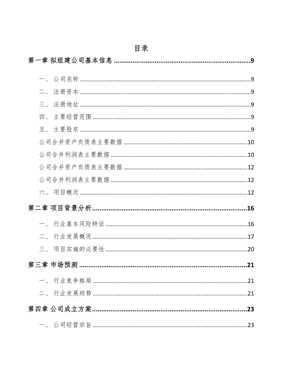 四川关于成立石英产品公司可行性报告(DOC 84页)_第2页