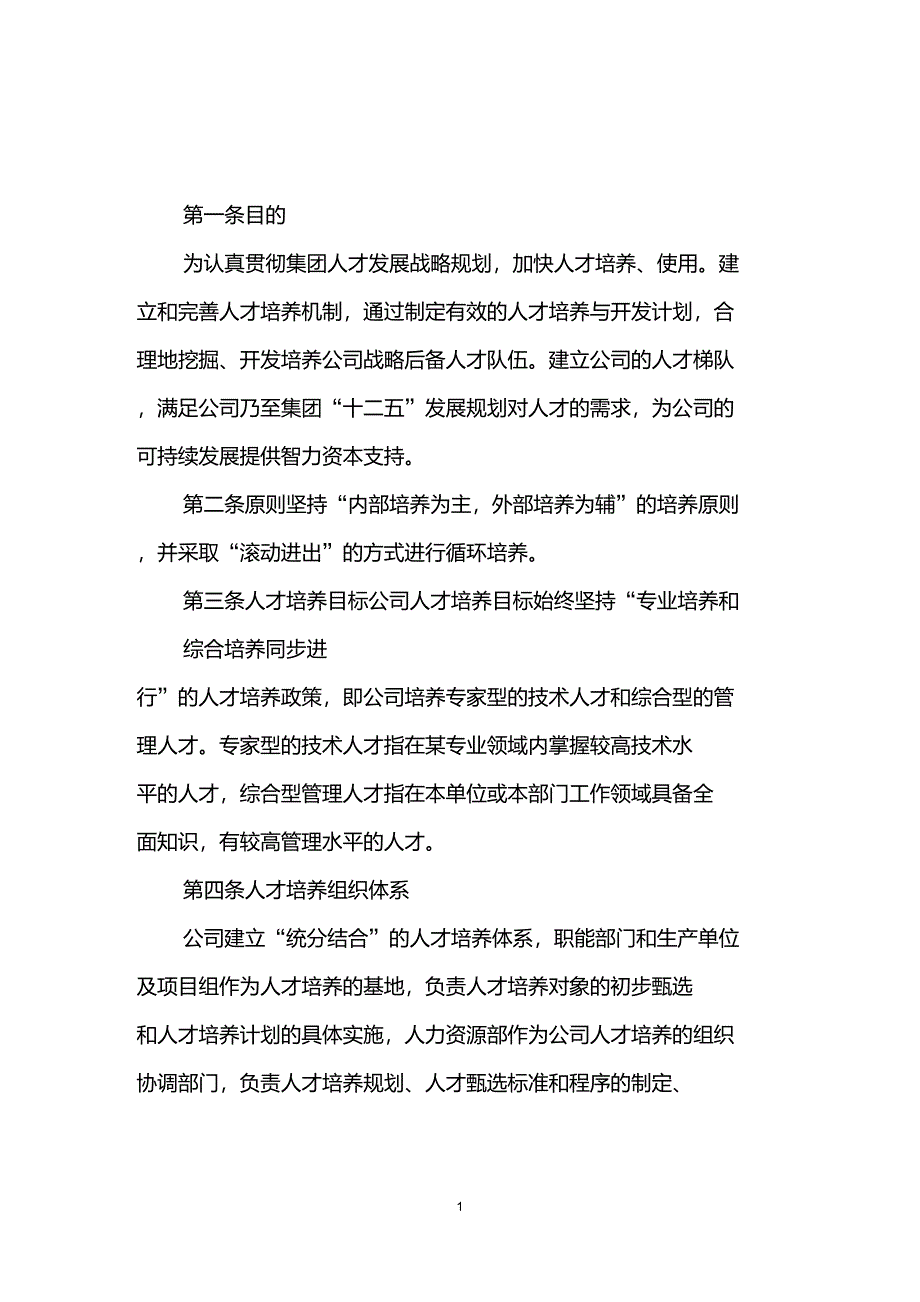 人才培养实施策略_第1页