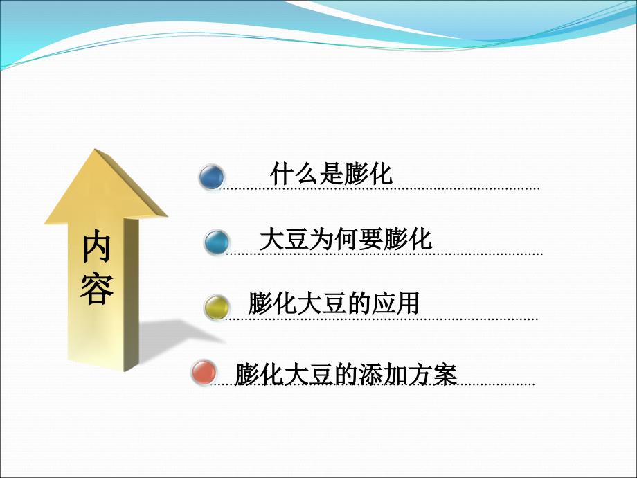 膨化大豆河南大面膨化技术交流研讨会_第4页