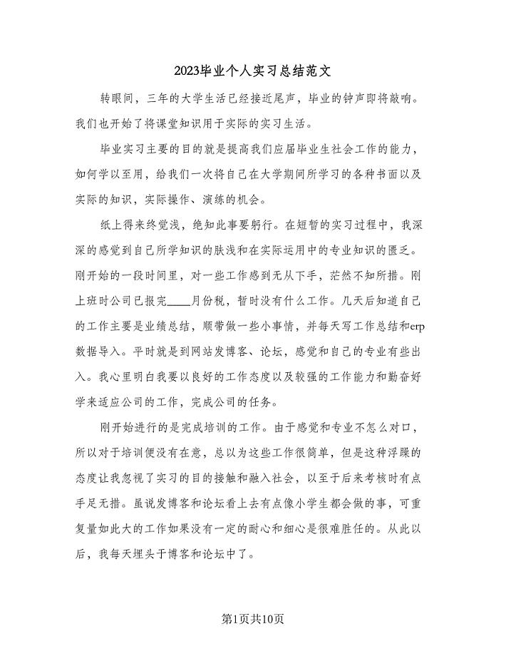 2023毕业个人实习总结范文（二篇）.doc