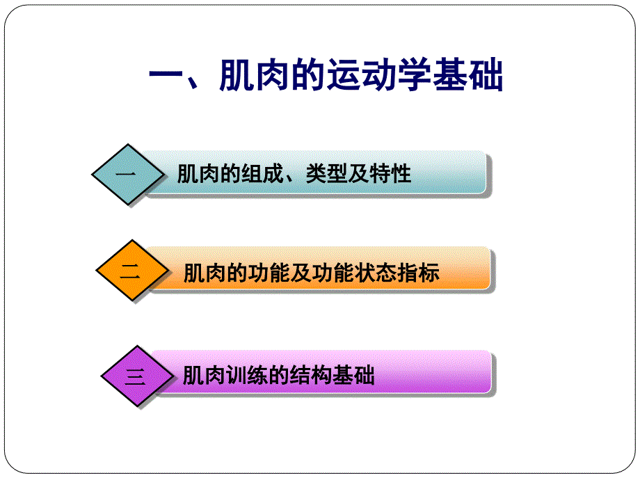 第二章第二节肌肉运动学_第4页