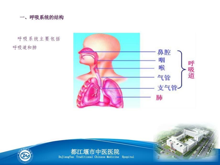 呼吸生理基础知识ppt课件_第2页