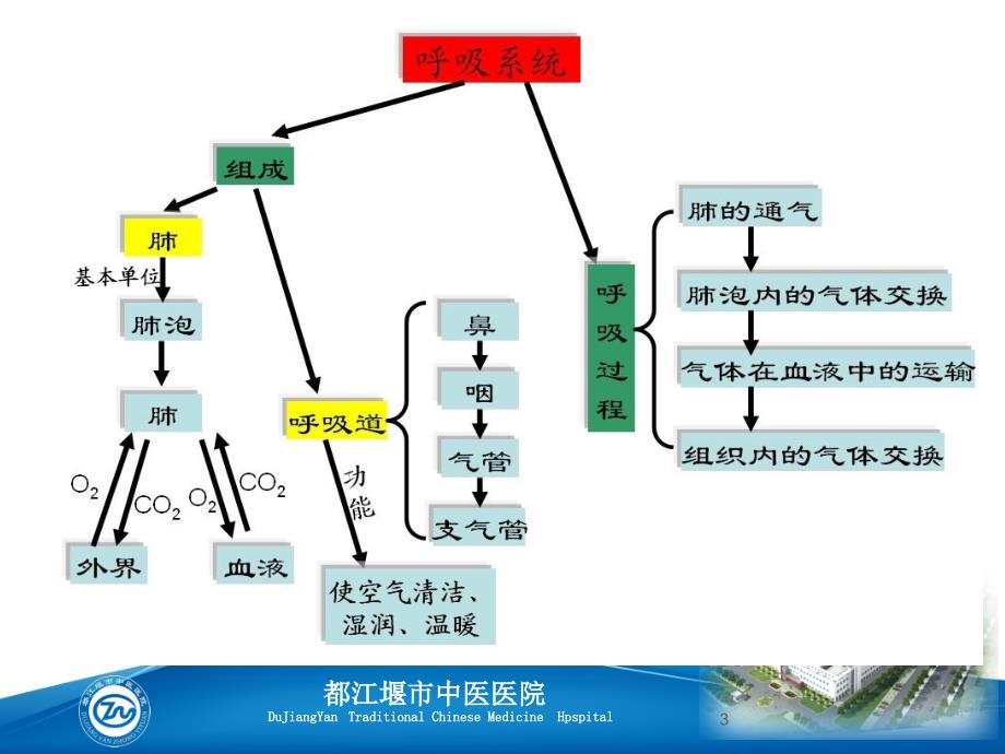 呼吸生理基础知识ppt课件_第3页