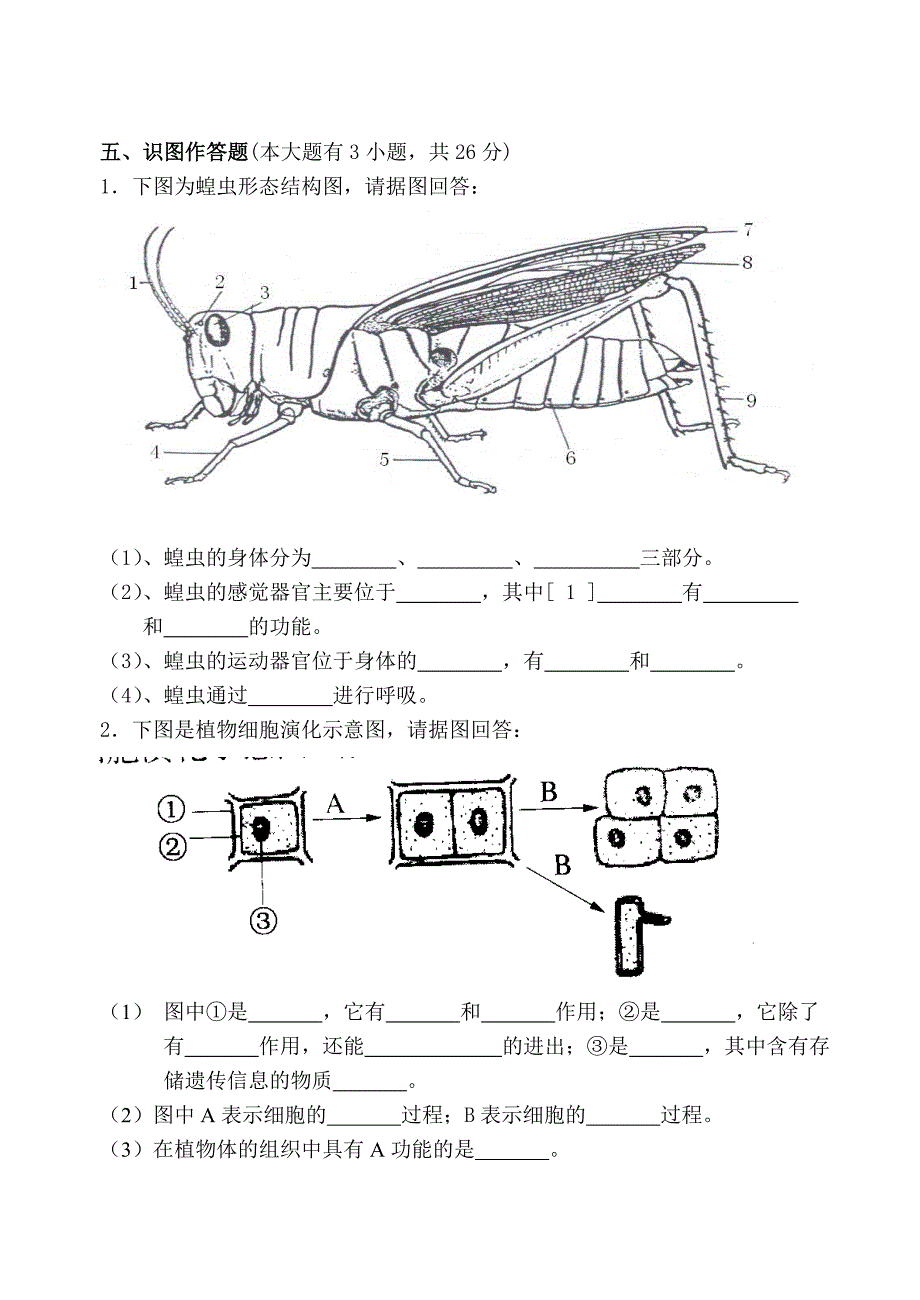 七年级生物期终试卷2_第4页