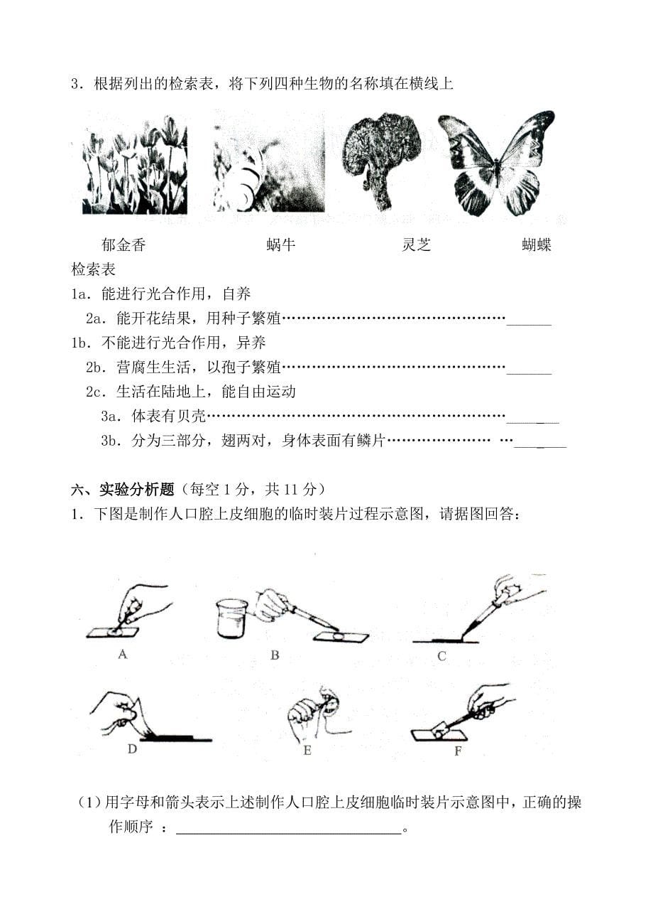 七年级生物期终试卷2_第5页