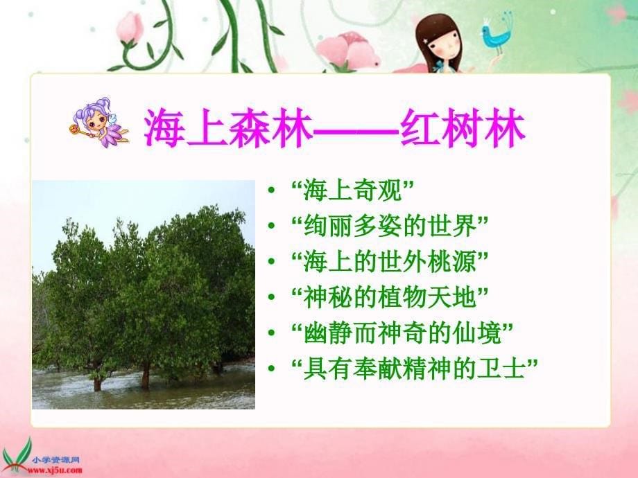 北师大版五年级语文上册《红树林》PPT课件 (2)_第5页