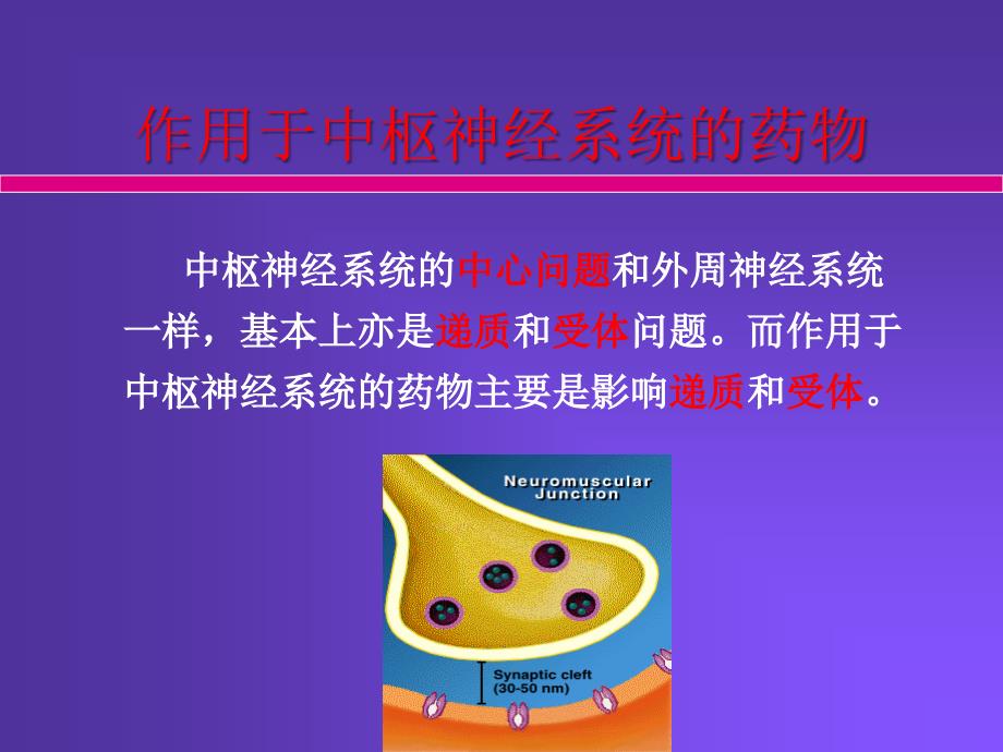 Pharmacology Chapter 13颜光美药理学 中枢神经系统概论_第4页