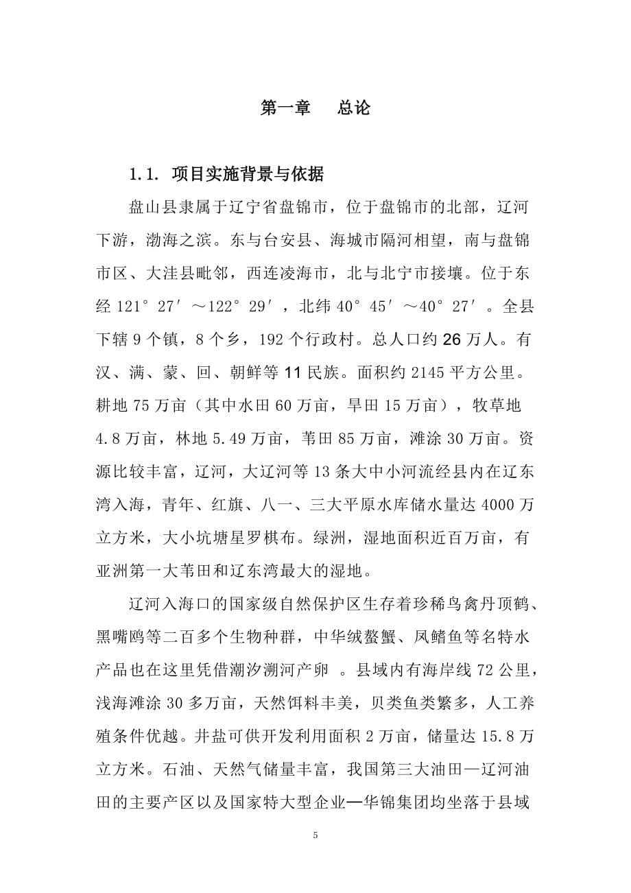 大连银龙联合集团有限公司可行性谋划书.doc_第5页