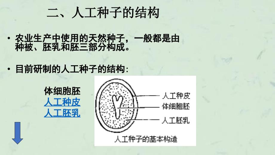 人工种子和种质保存课件_第4页