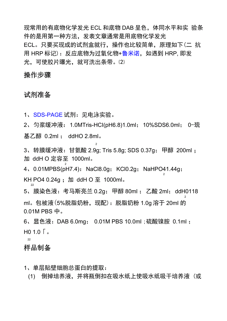 蛋白质印迹法westernblot_第3页