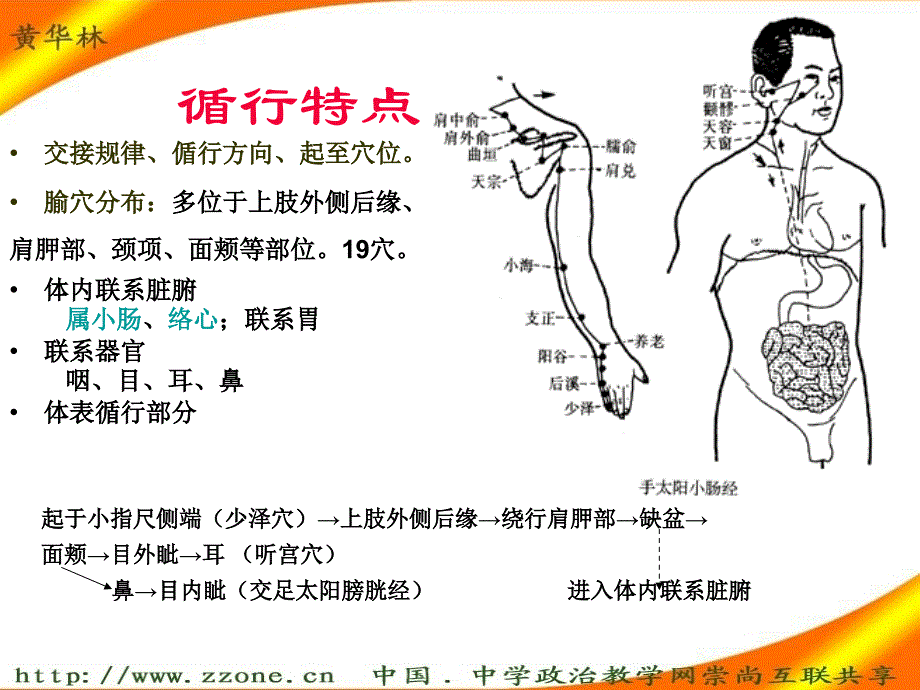 手太阳小肠经_第2页