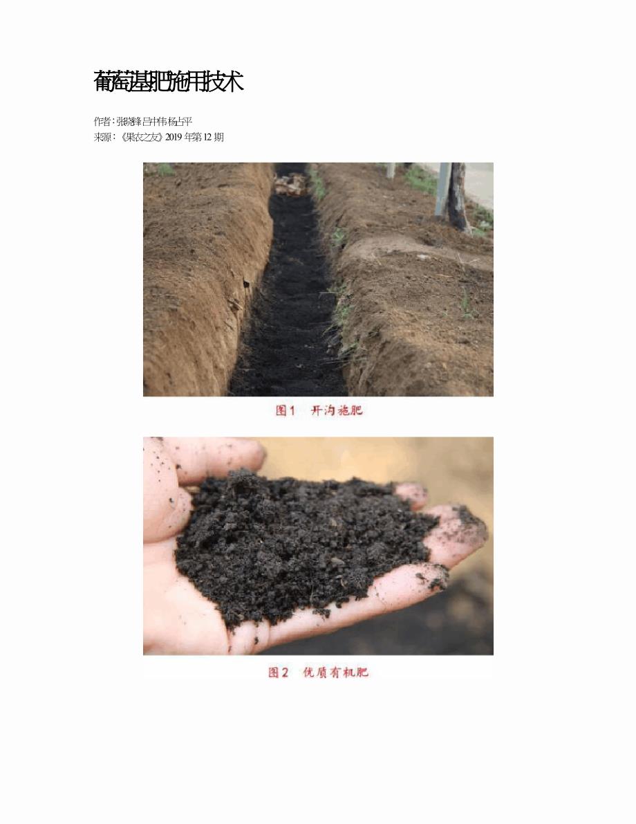 葡萄基肥施用技术.doc_第1页