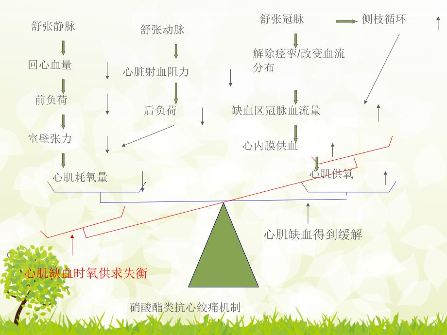 硝酸酯类药物在抗心肌缺血方面的应用PPT课件02_第4页