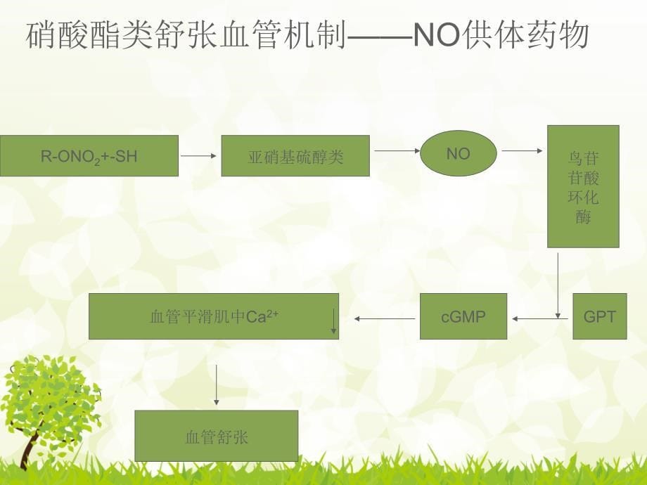 硝酸酯类药物在抗心肌缺血方面的应用PPT课件02_第5页