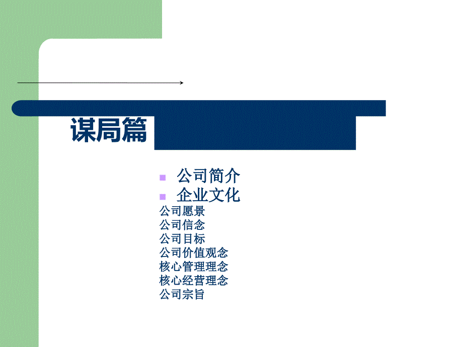 新公司筹建运营计划书.ppt_第2页